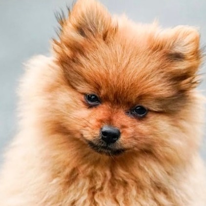 Logo of hackweak16285